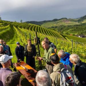 schwarzwald_guides_02_original