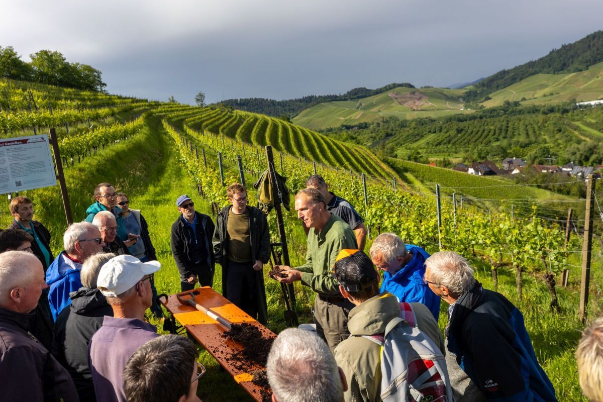 Schwarzwald Guides bei einem Workshop mit einem Weinfeld im Hintergrund