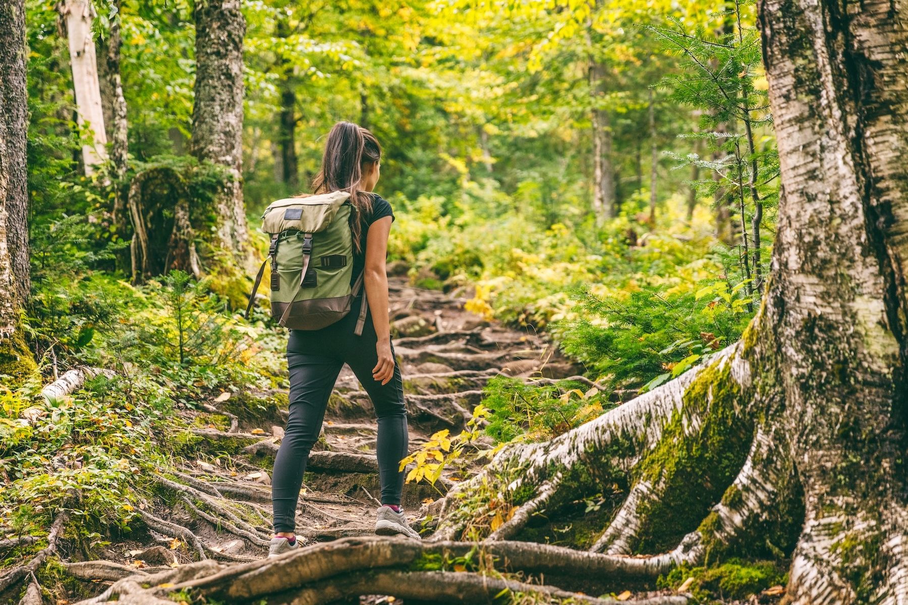 Junge Dame wandert im Naturpark Schwarzwald
